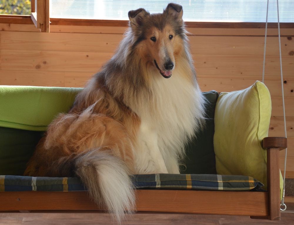 Balu1 fast6 Jahre