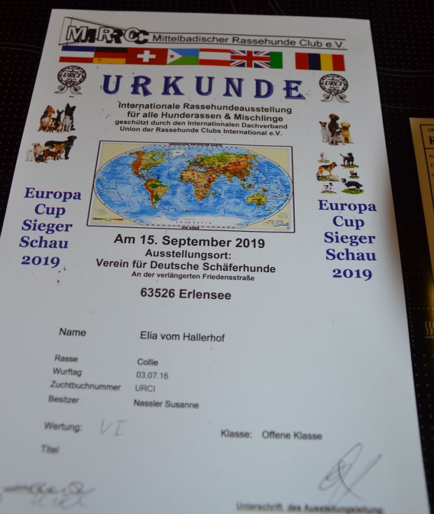 Europasiegerschau1 in Erlensee im Sep.19
